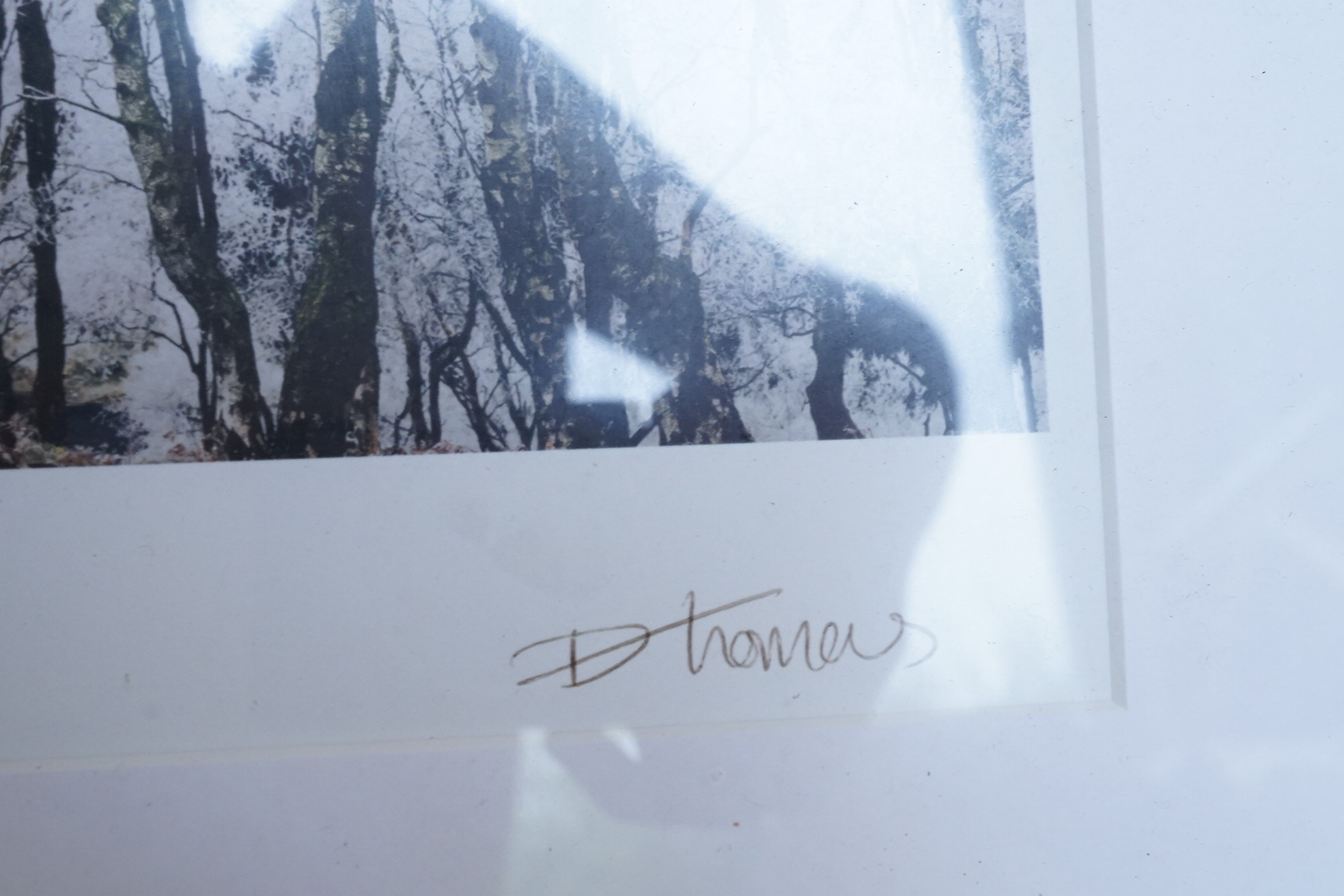 D. Thomas ?, Winter landscapes, set of four photographic prints, each signed in ink, three limited edition 2/30, 28 x 20cm